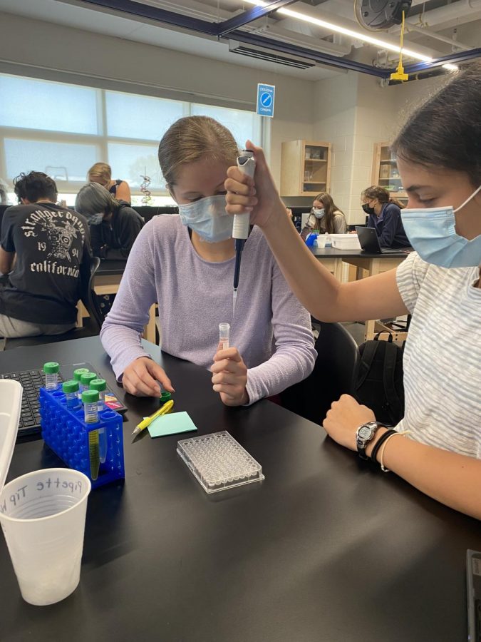 Freshmen Sofia Kenig and Madelyn Wright measure out adult and embryonic stem cells in Ms. Elliot’s new biology room to discover which is more versatile.