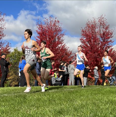 Boys run in a race in cross country.