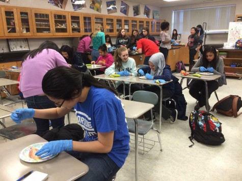 Students at an FMPA meeting learn how to perform sutures on bananas and oranges.