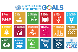 A graphic showing the UNs Sustainable Development, or Global, Goals. There are 17 goals in total with ones like No poverty, Zero hunger, and Gender equality.