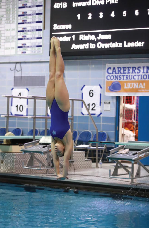 This is a photo of Allison Landis diving.