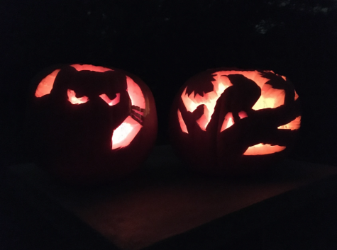 Pictured is two pumpkins, one with a cat carved onto it and one with a bird carved onto it.