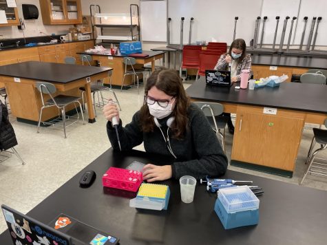 Hybrid students in Genetics work on a new lab.