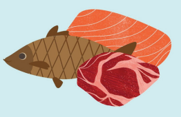 This is an illustration of fish and steak.
