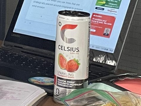 Peyton Self drinks a strawberry guava Celsius, while she does school work.