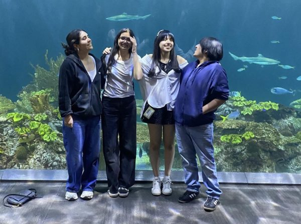 My friends and I explore the Shedd Aquarium. 